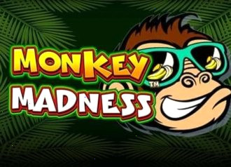 Monkey Madness Betsoft